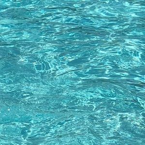 Meet your Posher, Sadie